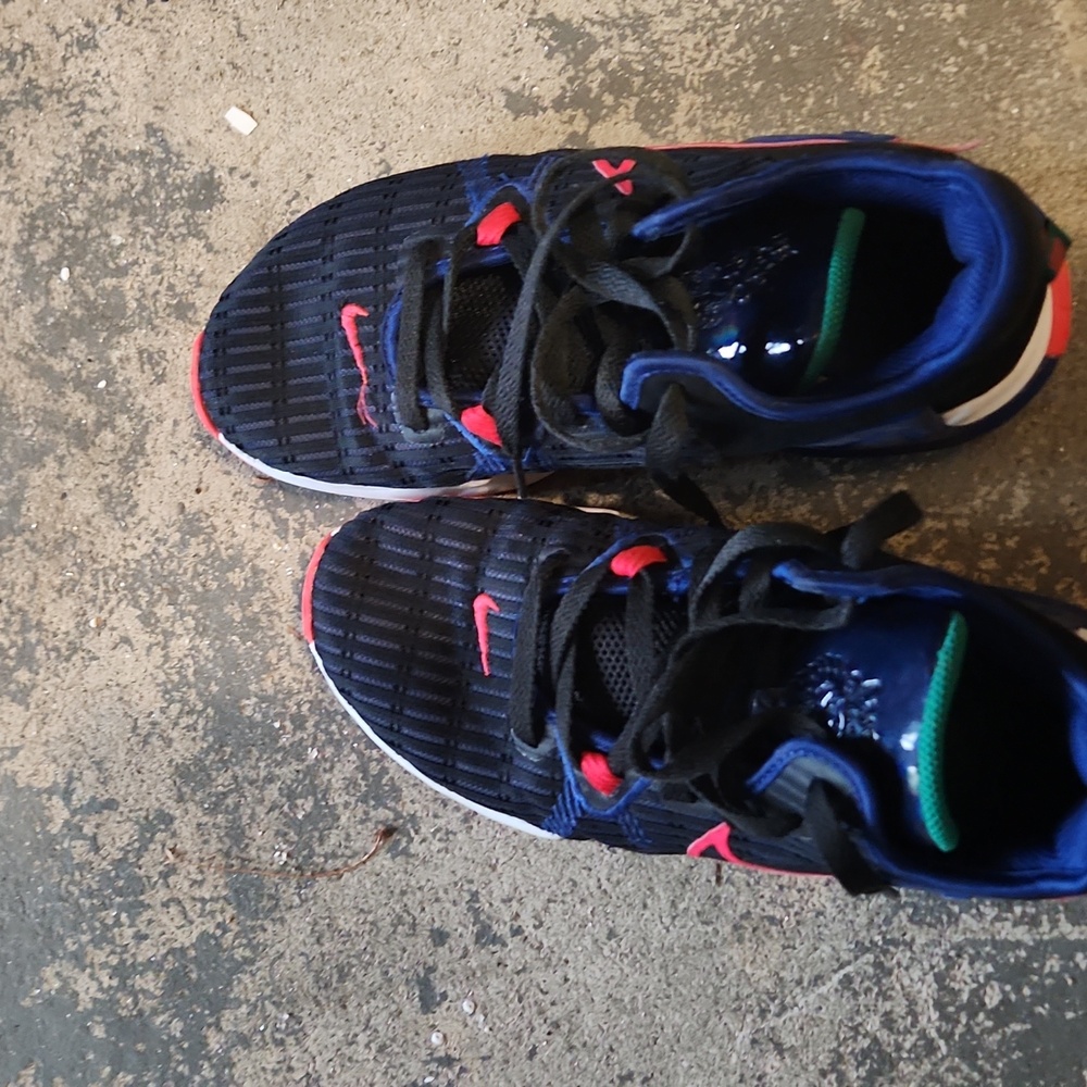 LeBron XI
